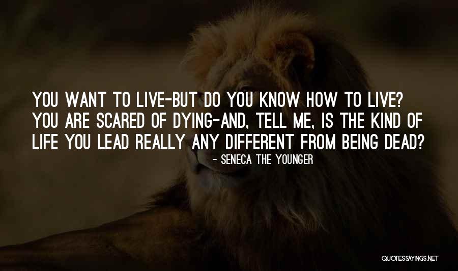 Konopka Scott Quotes By Seneca The Younger Konopka Scott Quotes By Seneca The Younger