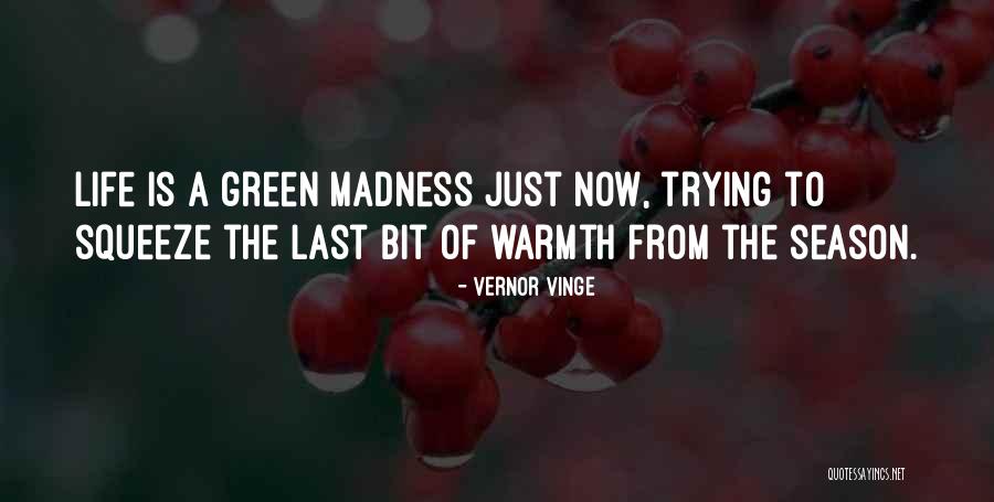 Konsolenkost Quotes By Vernor Vinge