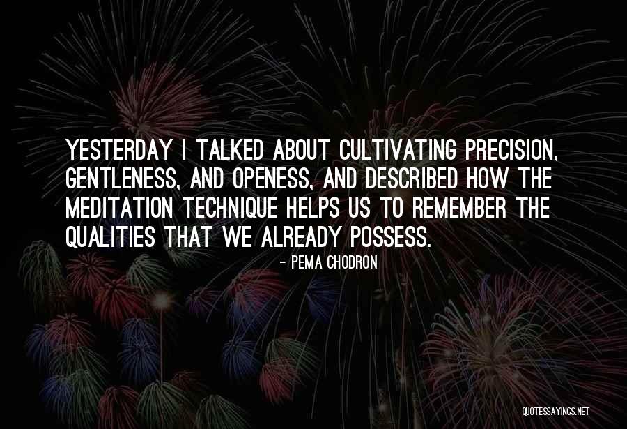 Konstas Name Quotes By Pema Chodron Konstas Name Quotes By Pema Chodron