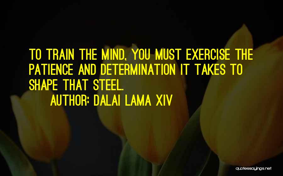 Kontogiannis Thanos Quotes By Dalai Lama XIV