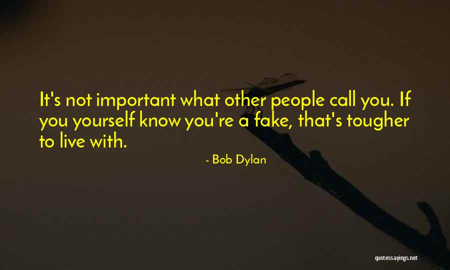 Kontribusi Pendapatan Quotes By Bob Dylan Kontribusi Pendapatan Quotes By Bob Dylan