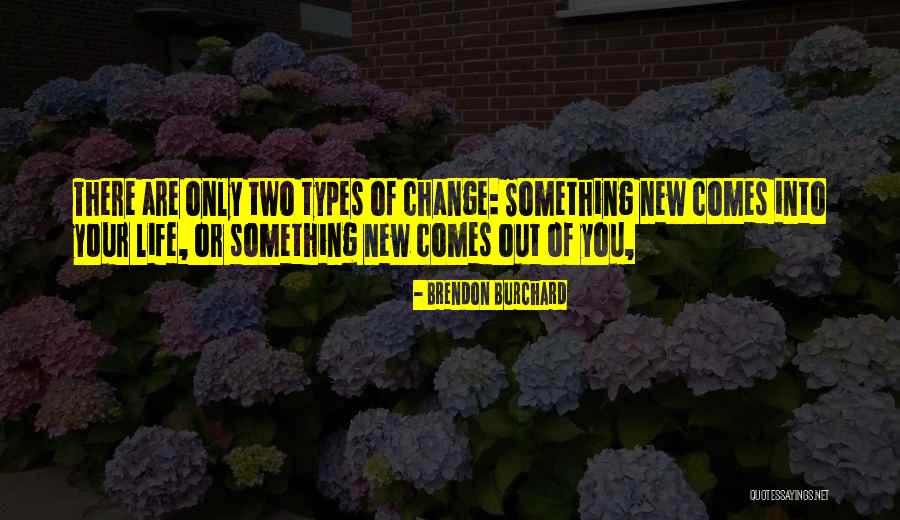 Kontrolli Larte Quotes By Brendon Burchard Kontrolli Larte Quotes By Brendon Burchard