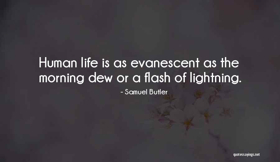 Konvencionalnost Quotes By Samuel Butler Konvencionalnost Quotes By Samuel Butler