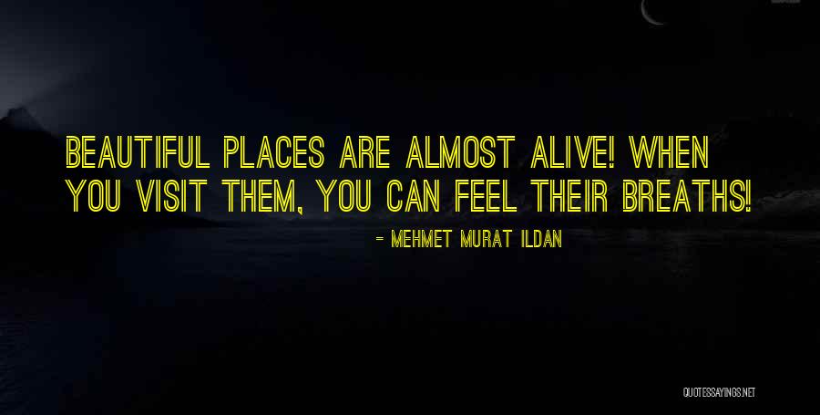 Koohestanian Quotes By Mehmet Murat Ildan Koohestanian Quotes By Mehmet Murat Ildan