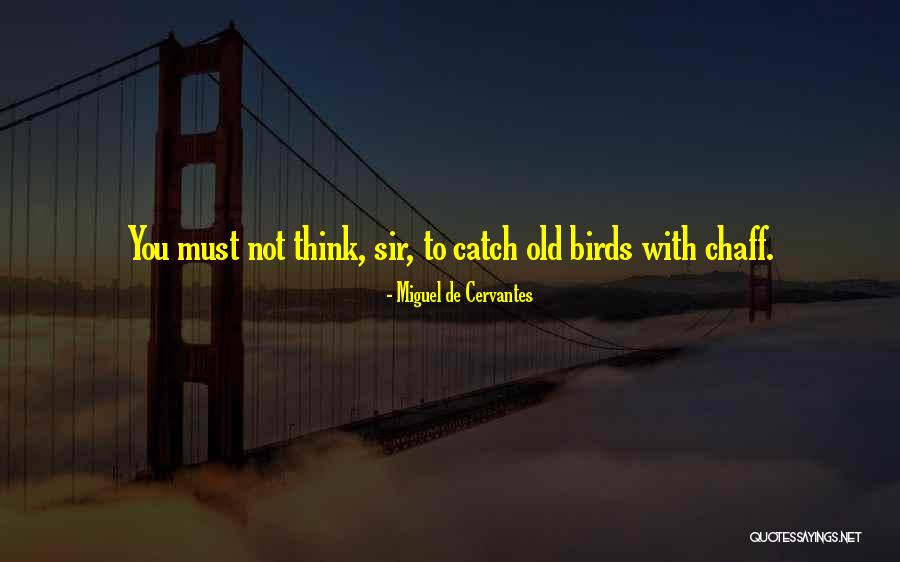 Koorosh Shamtoub Quotes By Miguel De Cervantes Koorosh Shamtoub Quotes By Miguel De Cervantes