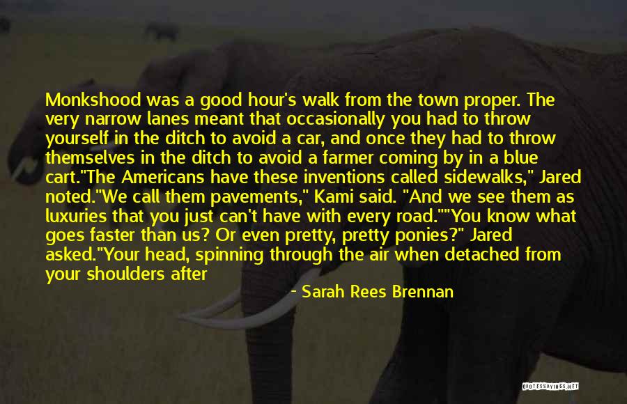 Kooseluleping Quotes By Sarah Rees Brennan Kooseluleping Quotes By Sarah Rees Brennan