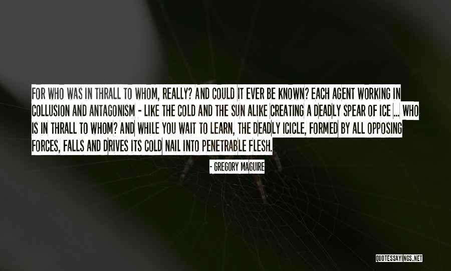 Kootra Quotes By Gregory Maguire Kootra Quotes By Gregory Maguire