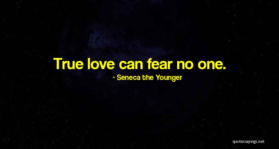 Kopacka Dopuna Quotes By Seneca The Younger Kopacka Dopuna Quotes By Seneca The Younger