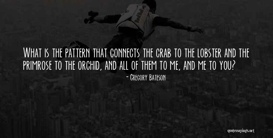 Kopano Chrverviers Quotes By Gregory Bateson Kopano Chrverviers Quotes By Gregory Bateson