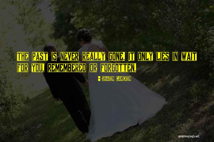 Kopfschmerzen Quotes By Sharon Cameron Kopfschmerzen Quotes By Sharon Cameron