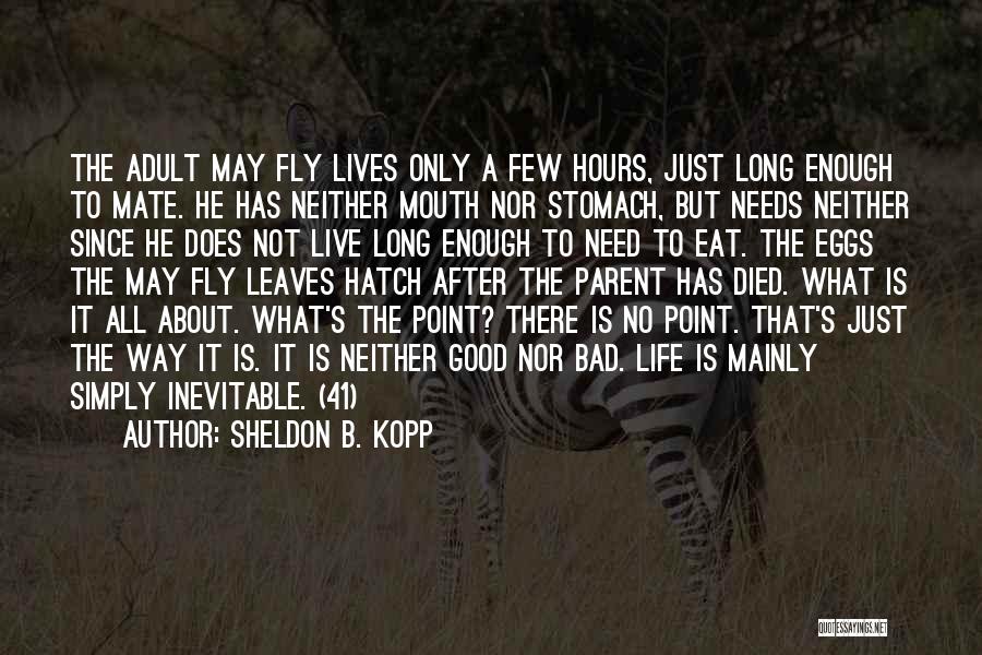 Kopp Quotes By Sheldon B. Kopp