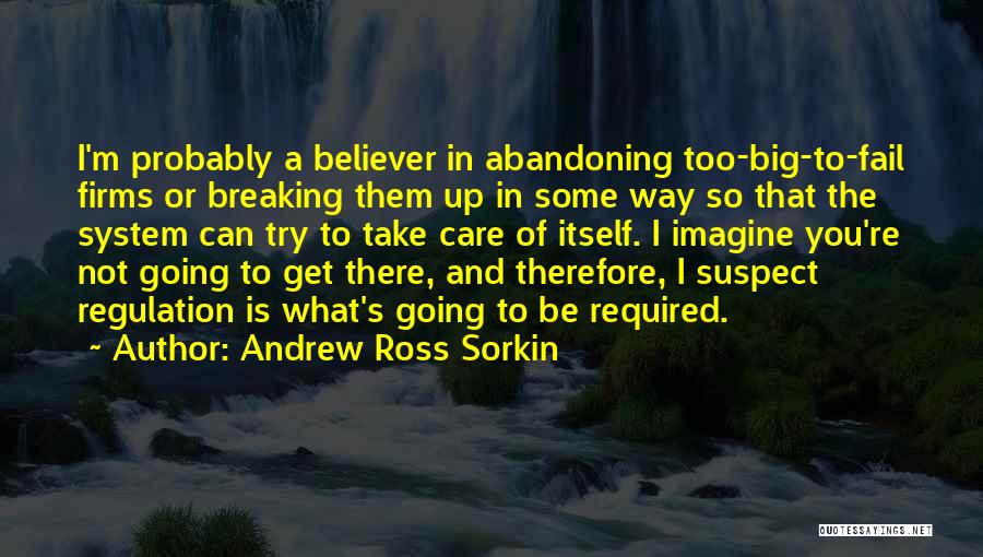 Kor Meteor Quotes By Andrew Ross Sorkin