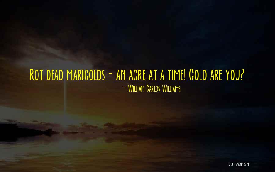 Kora In Hell Improvisions Quotes By William Carlos Williams Kora In Hell Improvisions Quotes By William Carlos Williams