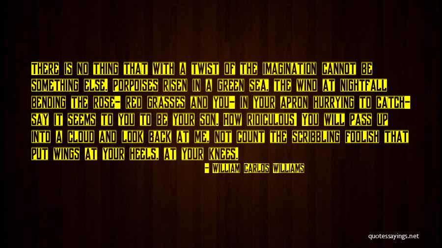 Kora In Hell Improvisions Quotes By William Carlos Williams Kora In Hell Improvisions Quotes By William Carlos Williams