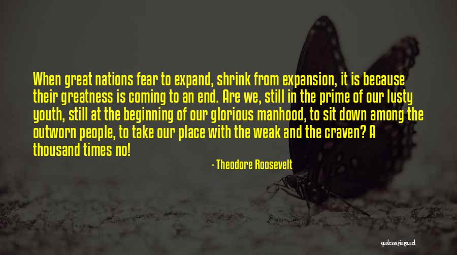 Korina Wood Quotes By Theodore Roosevelt Korina Wood Quotes By Theodore Roosevelt