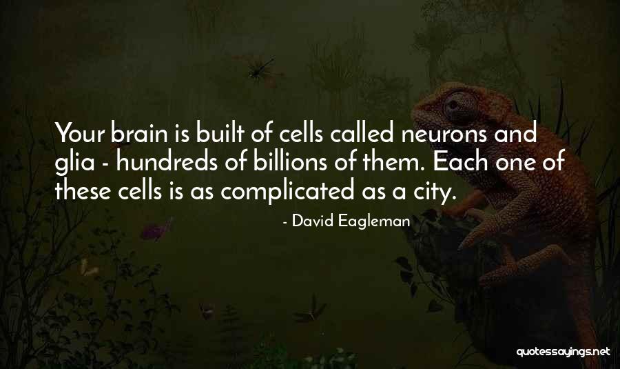 Korkino Quotes By David Eagleman Korkino Quotes By David Eagleman