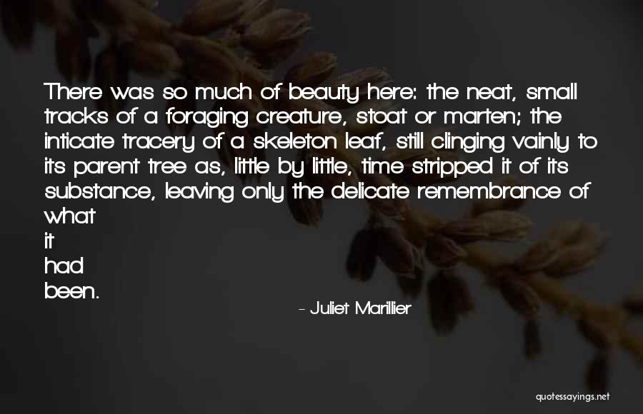 Korkusuz Korkak Quotes By Juliet Marillier Korkusuz Korkak Quotes By Juliet Marillier