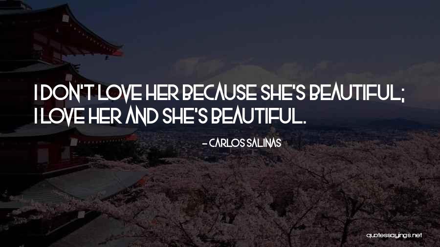 Korkut Bey Quotes By Carlos Salinas Korkut Bey Quotes By Carlos Salinas
