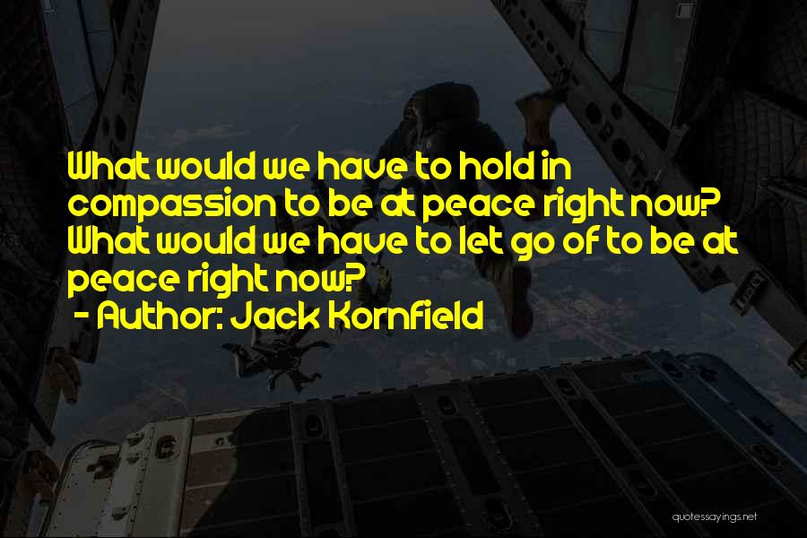 Kornfield Quotes By Jack Kornfield