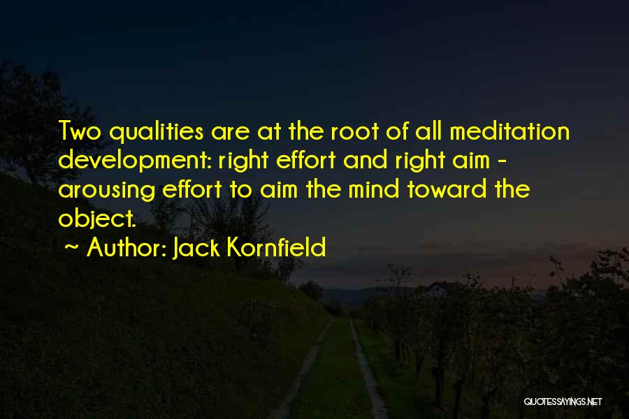 Kornfield Quotes By Jack Kornfield