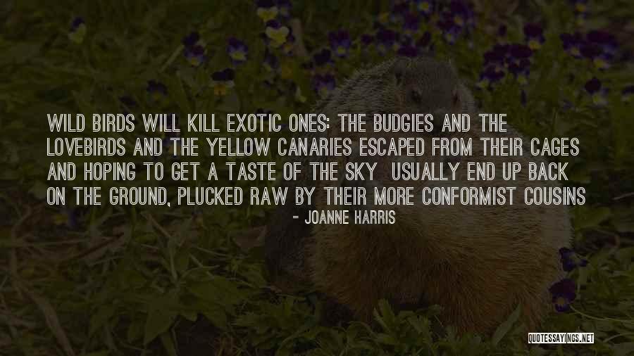 Korrikula Quotes By Joanne Harris Korrikula Quotes By Joanne Harris