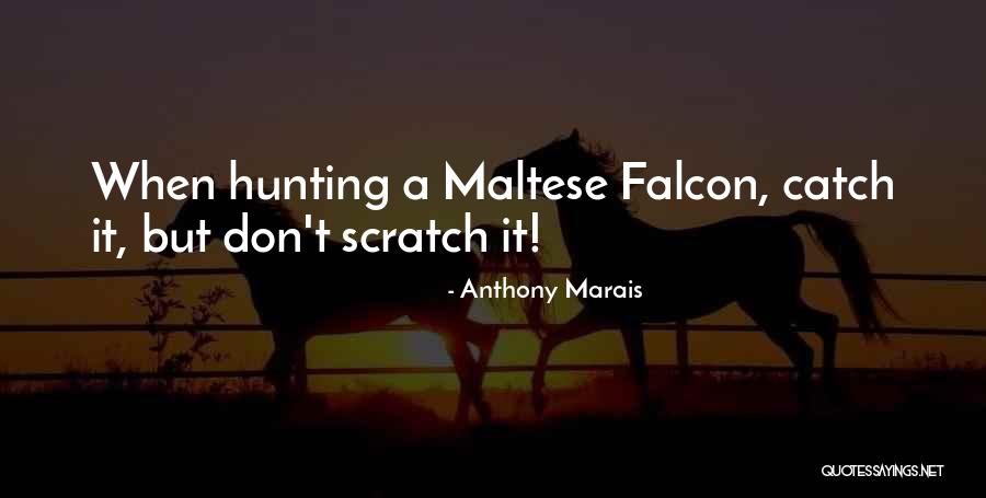 Korset Prodaja Quotes By Anthony Marais Korset Prodaja Quotes By Anthony Marais