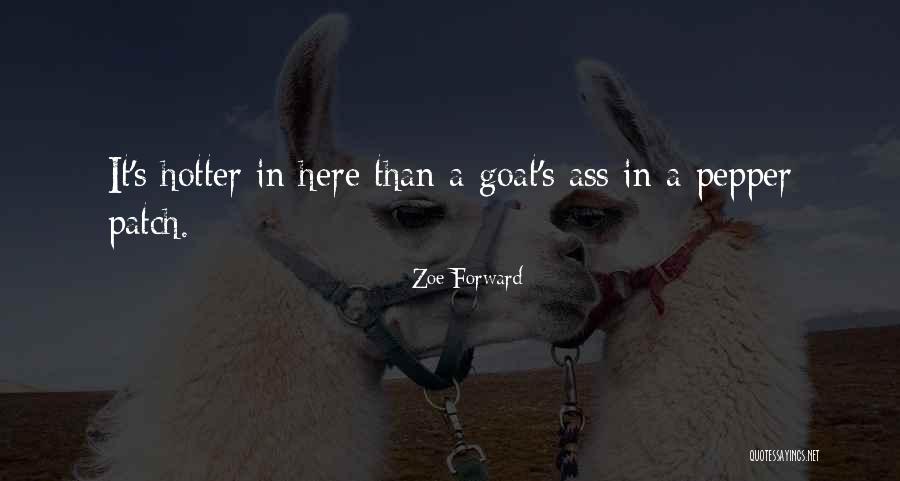 Korte Latijnse Quotes By Zoe Forward Korte Latijnse Quotes By Zoe Forward