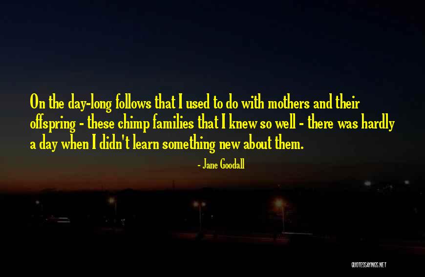 Korthuis Granite Quotes By Jane Goodall Korthuis Granite Quotes By Jane Goodall