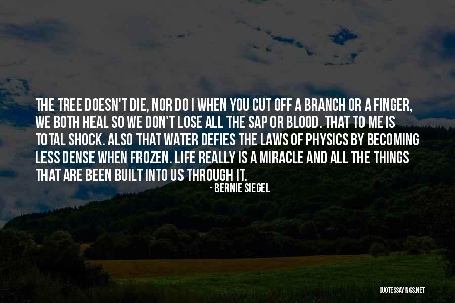Kortos Quotes By Bernie Siegel Kortos Quotes By Bernie Siegel