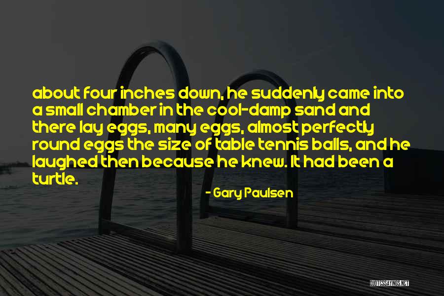 Korver Eye Quotes By Gary Paulsen Korver Eye Quotes By Gary Paulsen