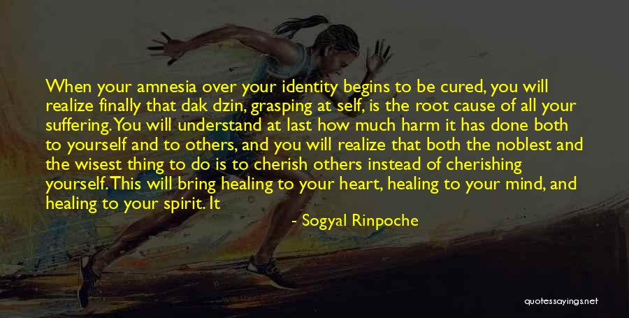 Kosaku Quotes By Sogyal Rinpoche Kosaku Quotes By Sogyal Rinpoche