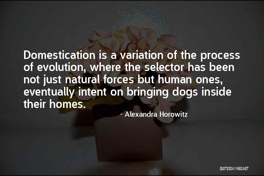 Koscielec Mapa Quotes By Alexandra Horowitz Koscielec Mapa Quotes By Alexandra Horowitz