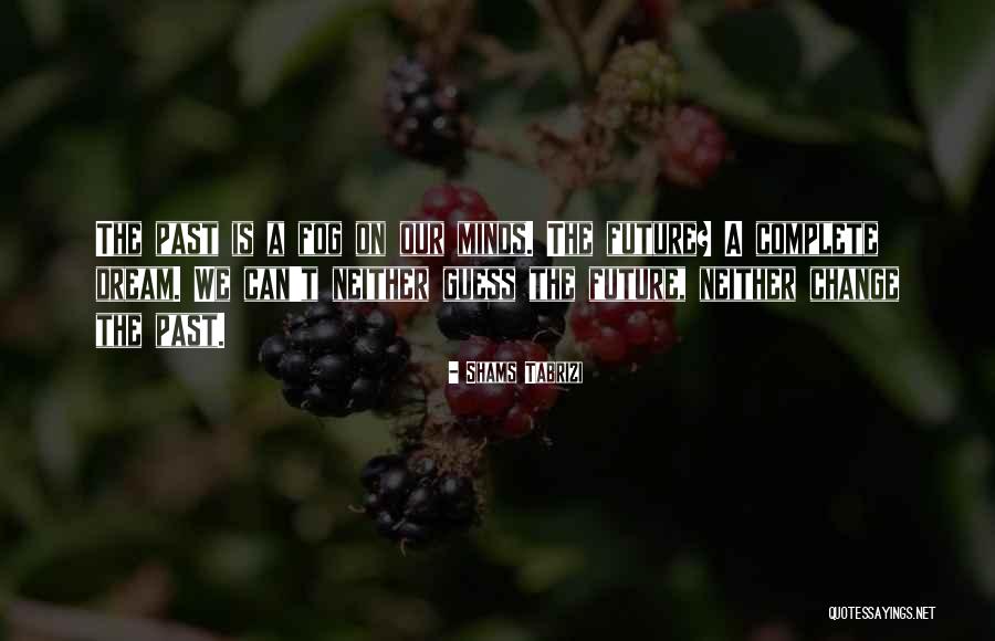 Koshan Butcher Quotes By Shams Tabrizi Koshan Butcher Quotes By Shams Tabrizi