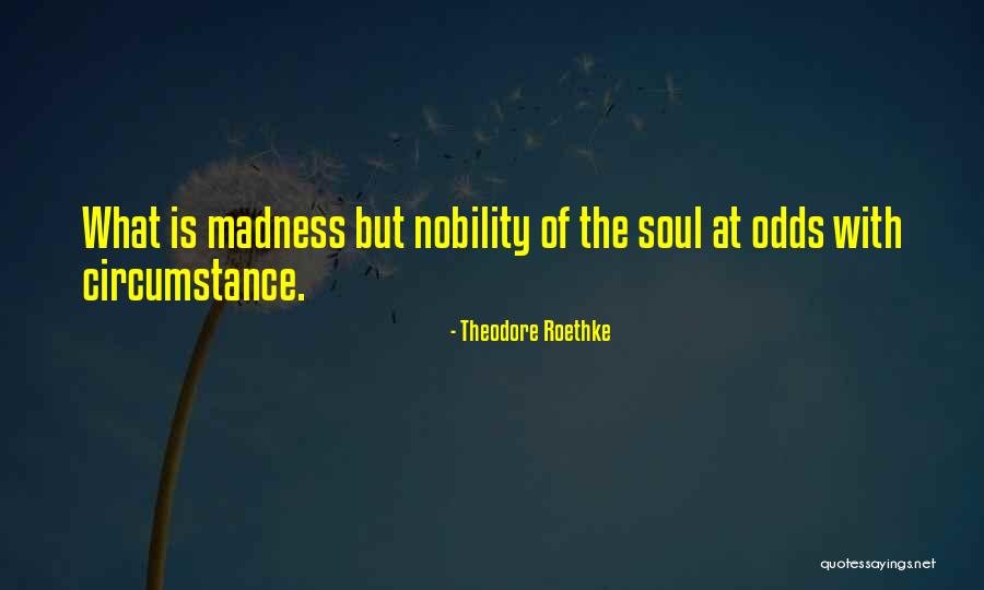 Koshida Tea Quotes By Theodore Roethke Koshida Tea Quotes By Theodore Roethke