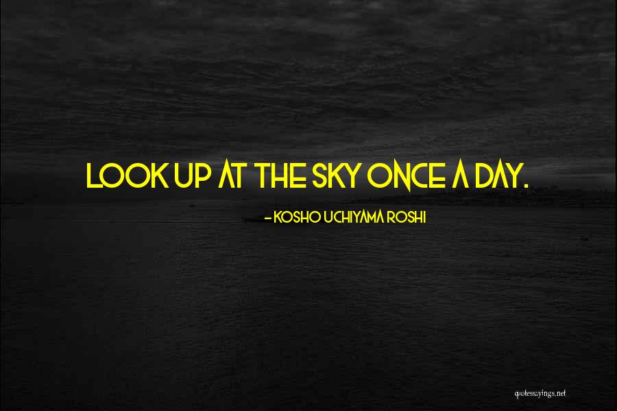 Kosho Uchiyama Roshi Quotes 706699 Kosho Uchiyama Roshi Quotes 706699