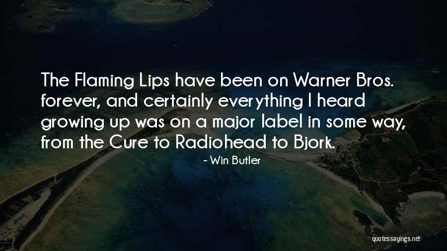 Kosisko Quotes By Win Butler Kosisko Quotes By Win Butler
