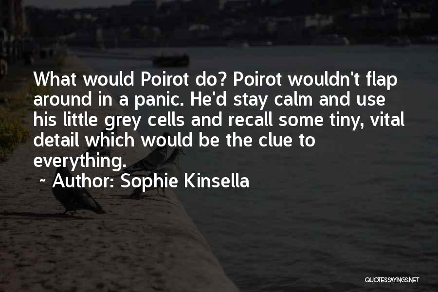 Koskovich Saw Quotes By Sophie Kinsella