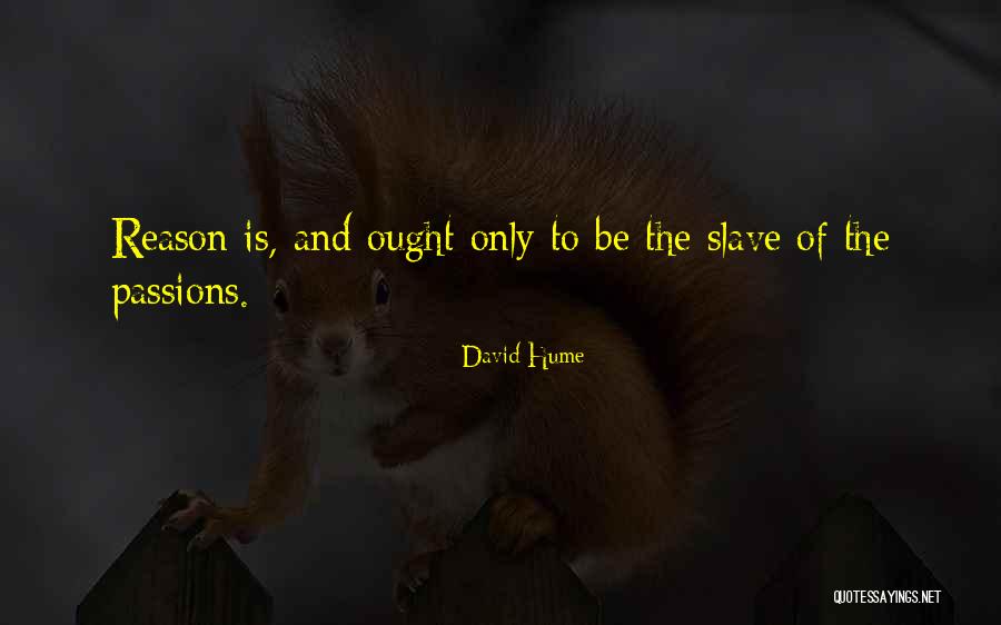 Koslow Furs Quotes By David Hume