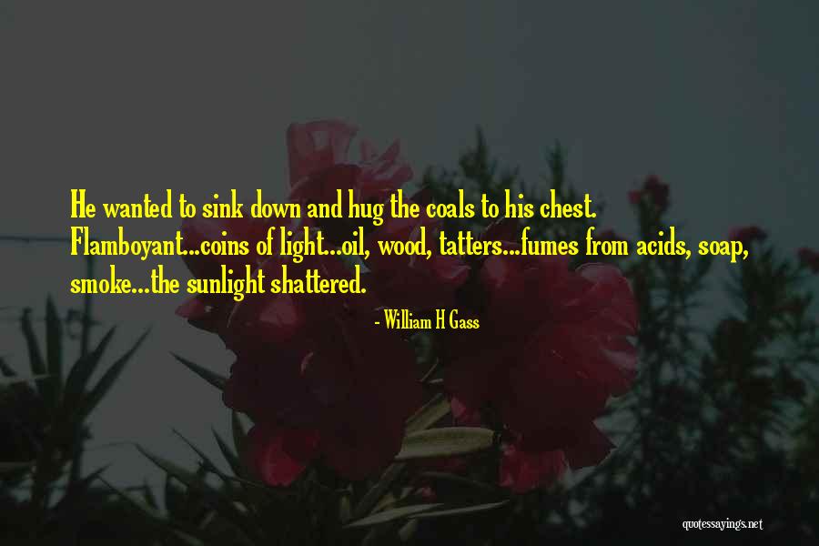 Kostabis Early Years Quotes By William H Gass Kostabis Early Years Quotes By William H Gass