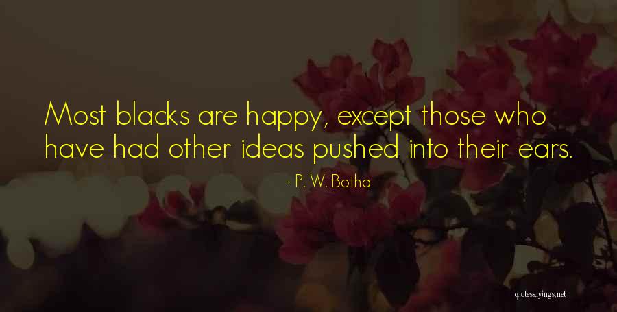 Kostecki Gabriel Quotes By P. W. Botha Kostecki Gabriel Quotes By P. W. Botha