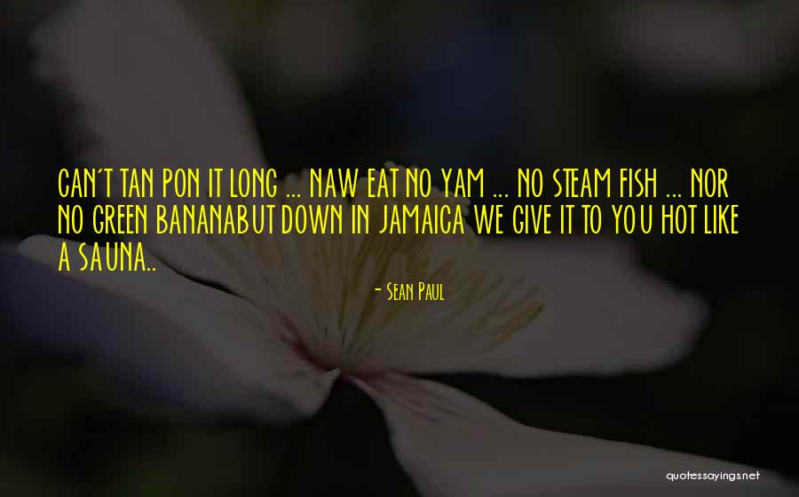 Kostial Company Quotes By Sean Paul Kostial Company Quotes By Sean Paul