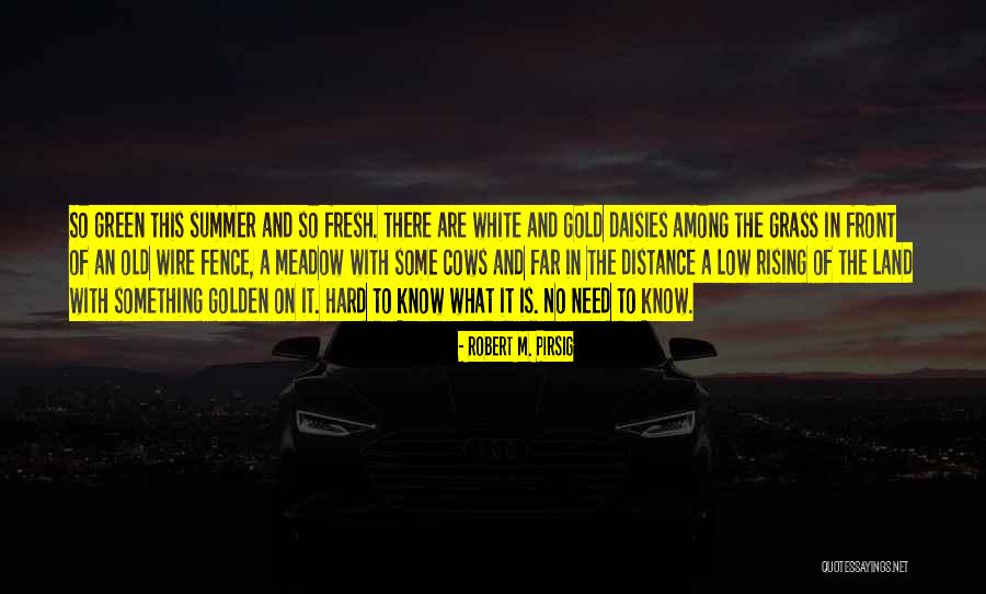 Kostiner Quotes By Robert M. Pirsig Kostiner Quotes By Robert M. Pirsig