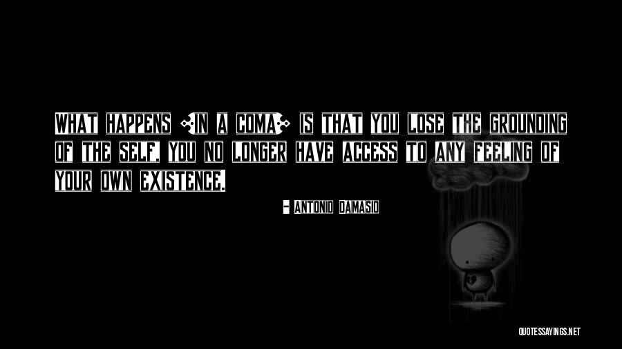 Kostivalova Quotes By Antonio Damasio Kostivalova Quotes By Antonio Damasio