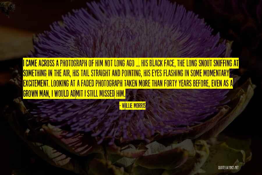 Kostja Zetkin Quotes By Willie Morris Kostja Zetkin Quotes By Willie Morris