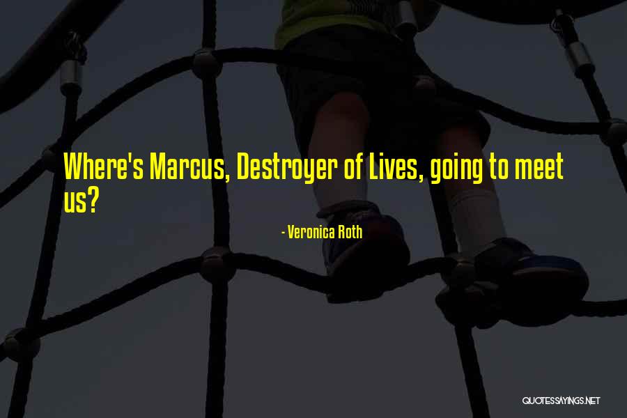 Kostmayer Associates Quotes By Veronica Roth Kostmayer Associates Quotes By Veronica Roth