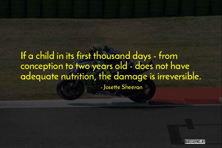 Kostucha Quotes By Josette Sheeran Kostucha Quotes By Josette Sheeran