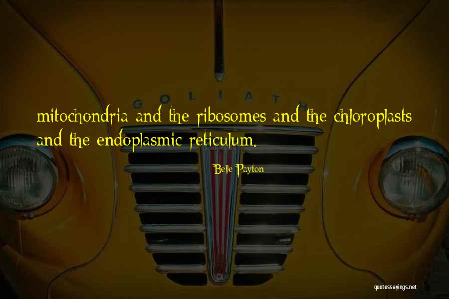 Kosturi Divova Quotes By Belle Payton Kosturi Divova Quotes By Belle Payton