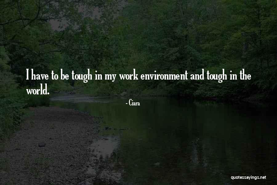Koszmar Elevena Quotes By Ciara Koszmar Elevena Quotes By Ciara