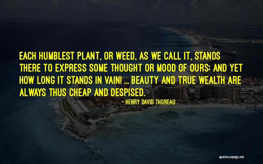 Kotex U Quotes By Henry David Thoreau Kotex U Quotes By Henry David Thoreau