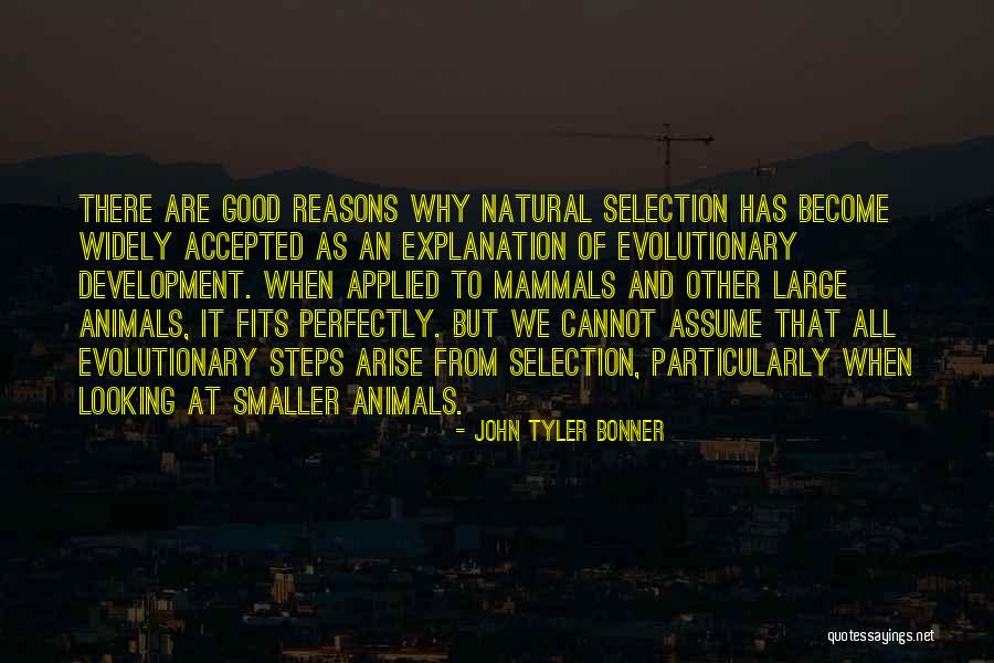 Kothenz Quotes By John Tyler Bonner Kothenz Quotes By John Tyler Bonner